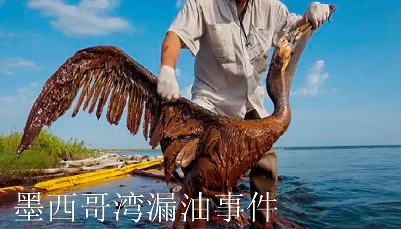 被海上溢油“染黑”的海岸线腾博会环保热解技术助力守护海洋生命线